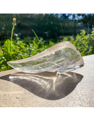 Crâne du voyageur en cristal de roche offre 