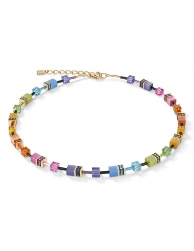 Collection 2838 - Multicolore Arc en Ciel Doré - Collier - Cœur de Lion brillant des détails fins