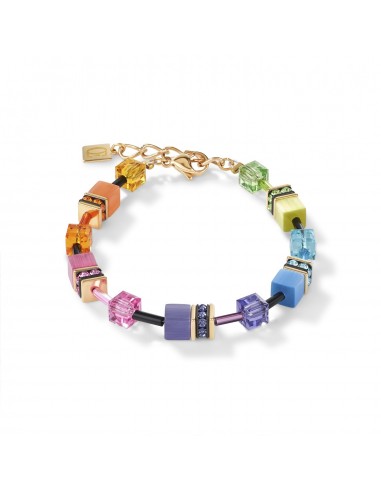 Collection 2838 - Multicolore Arc en Ciel Doré - Bracelet - Cœur de Lion 50-70% off 