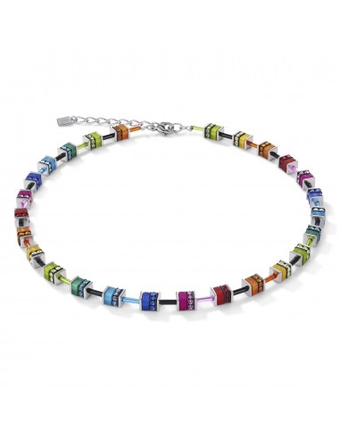 Collection 4409 - Multicolore - Collier - Cœur de Lion les muscles