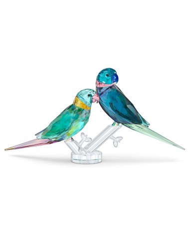 Perruches - Figurine - Swarovski en ligne des produits 